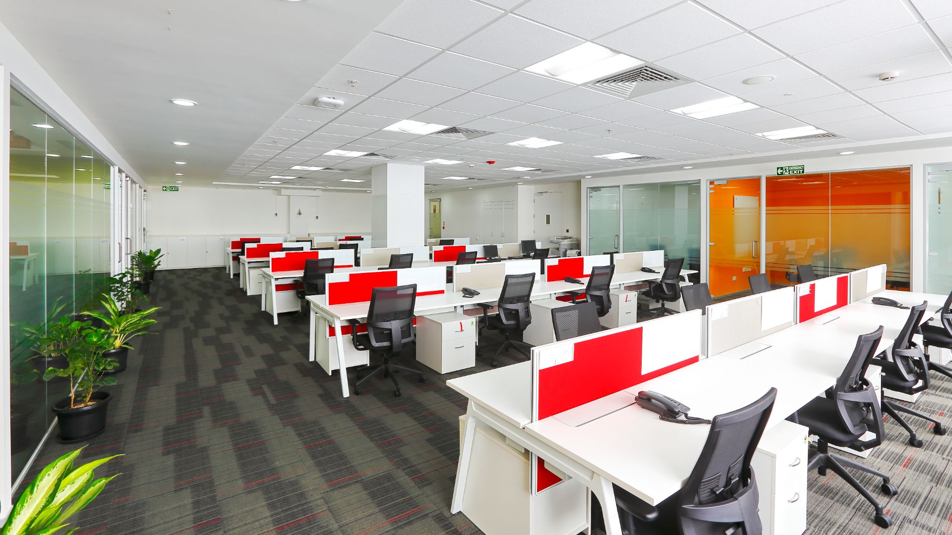 Moving Into a DSO Office? What You Need to Check Before Starting the Fit-Out